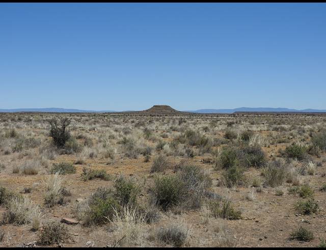 2,363HA FARM FOR SALE IN MERWEVILLE